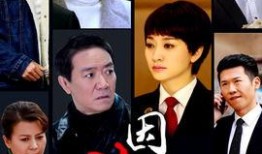 因法之名在线观看,揭秘法律背后的故事与智慧