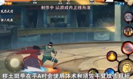 全忍者技能爆料大全最新,揭秘忍界最强秘籍